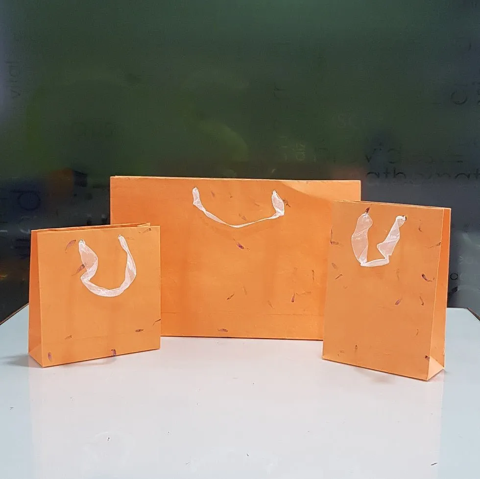 Designer Paper Bags