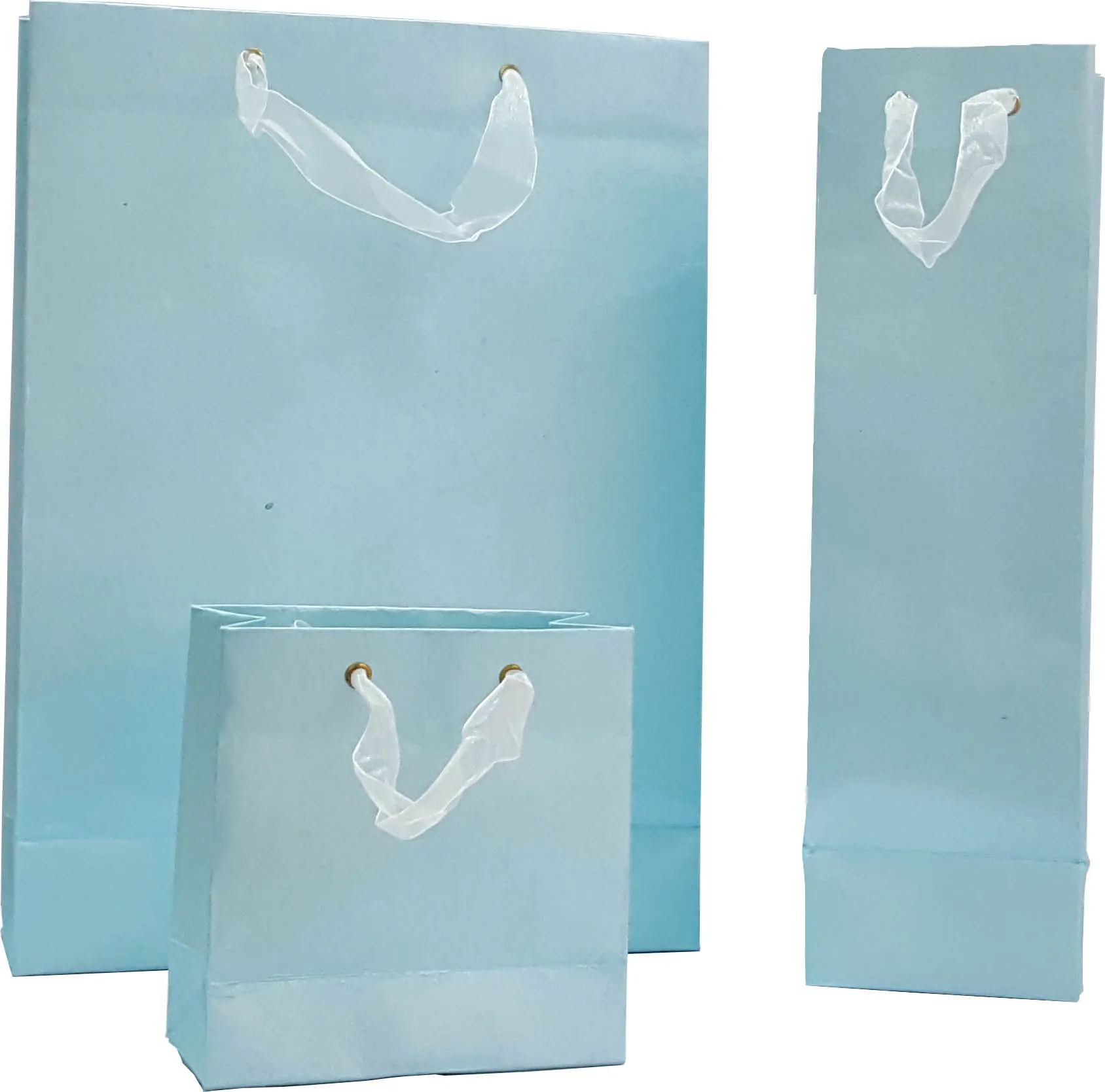 Designer Paper Bags
