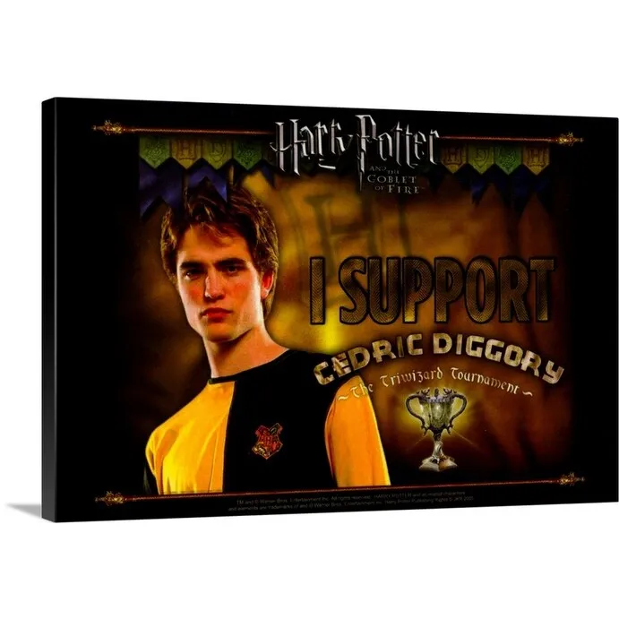 "Harry Potter and the Goblet of Fire (2005)" Canvas Wall Art